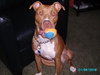 Morgan - ADOPTED 08.16.10