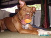 Morgan - ADOPTED 08.16.10