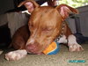 Morgan - ADOPTED 08.16.10