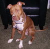 Morgan - ADOPTED 08.16.10