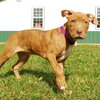 Mozzerella - ADOPTED