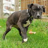 Monteray - ADOPTED 11.14.09
