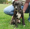 Monteray - ADOPTED 11.14.09