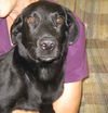 Ferlin - ADOPTED 11.12.09