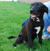 Inky - ADOPTED 11.18.09