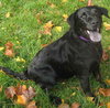 Holly - ADOPTED 11.01.09