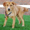 Andrea - ADOPTED 11.09.09