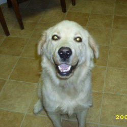 Isadora - ADOPTED 11.07.09