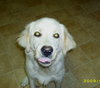 Isadora - ADOPTED 11.07.09