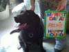 Archie - ADOPTED 04.23.10