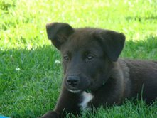 Spud - ADOPTED 11.19.09