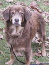 Mr. Jack-ADOPTED