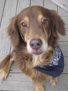 Mr. Jack-ADOPTED