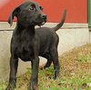 Boo - ADOPTED 12.28.09