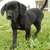 Morticia - ADOPTED 11.14.09