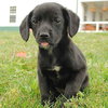 Morticia - ADOPTED 11.14.09
