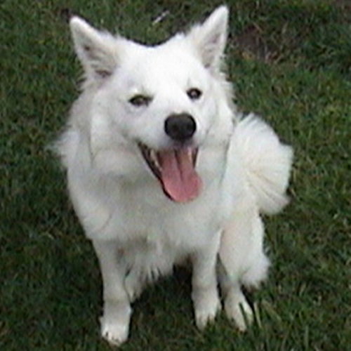 Spirit - ADOPTED 12.17.09