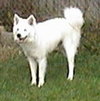 Spirit - ADOPTED 12.17.09