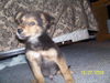 Mario - ADOPTED 11.07.09