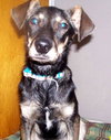 Flash - ADOPTED 11.19.09