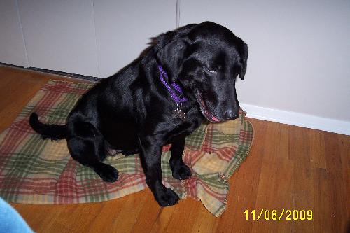 Iowa - ADOPTED 11.20.09