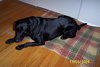 Iowa - ADOPTED 11.20.09