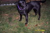Iowa - ADOPTED 11.20.09