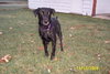 Iowa - ADOPTED 11.20.09