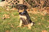 Sedona - ADOPTED 11.18.09