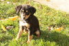 Sedona - ADOPTED 11.18.09