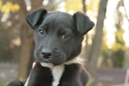 Bisbee - ADOPTED 11.16.09