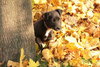 Bisbee - ADOPTED 11.16.09