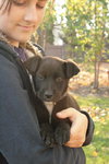 Bisbee - ADOPTED 11.16.09