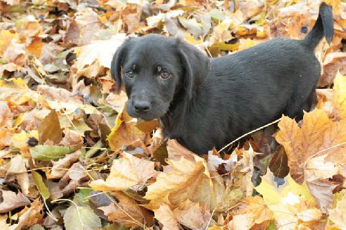 Yuma - ADOPTED 12.18.09