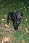 Yuma - ADOPTED 12.18.09