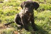 Prescott - ADOPTED 12.12.09