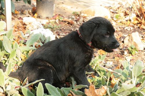 Tucson - ADOPTED 11.25.09
