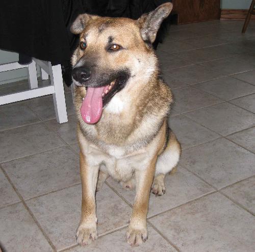 Tedee - ADOPTED 12.05.09