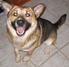 Tedee - ADOPTED 12.05.09