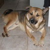 Tedee - ADOPTED 12.05.09