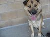 Tedee - ADOPTED 12.05.09