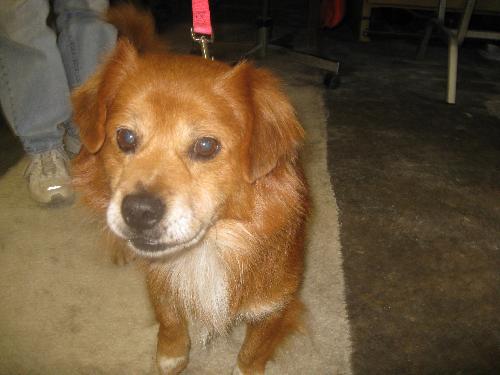 Snazzy - ADOPTED 12.07.09