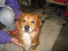 Snazzy - ADOPTED 12.07.09