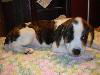 Faith - ADOPTED 12.27.09