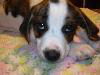 Faith - ADOPTED 12.27.09