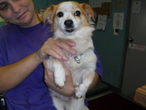 Andy-ADOPTED-12.5.09