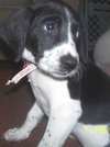 Donna - ADOPTED 12.05.09