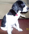 Donna - ADOPTED 12.05.09