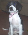 Tera - ADOPTED 12.01.09