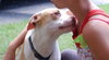 Prince-ADOPTED 10.05.12